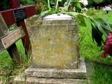 image of grave number 681580